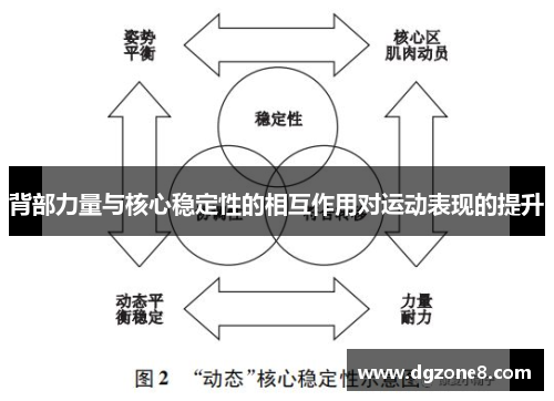 背部力量与核心稳定性的相互作用对运动表现的提升